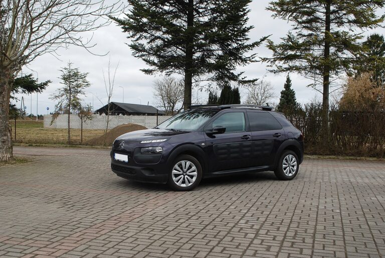 Citroen C4 Cactus. 1,2 benzyna.